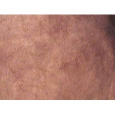 RH901 - Mocha Mousse RH901 - Mocha Mousse